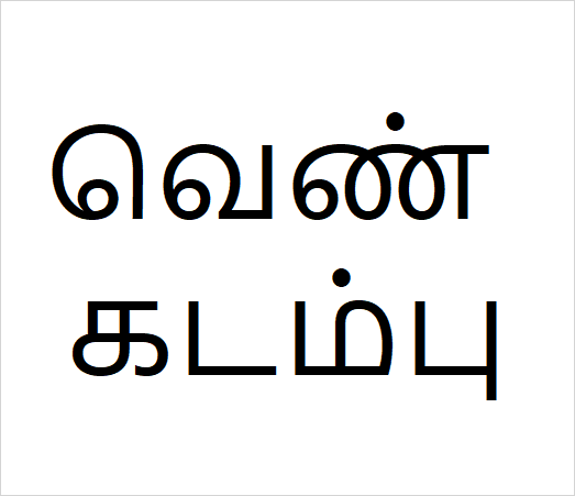 Ven kadambu Bulk