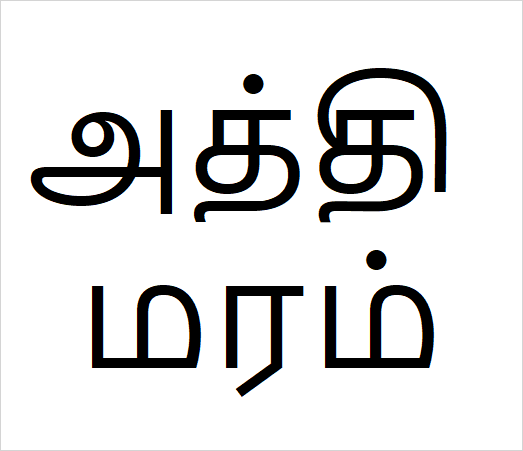 Aththi