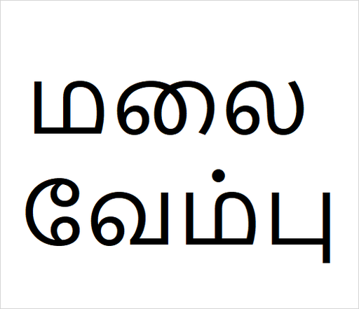 [மலை வேம்பு] Malai vembu