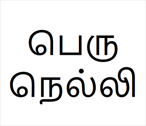 [பெருநெல்லி] Peru nelli