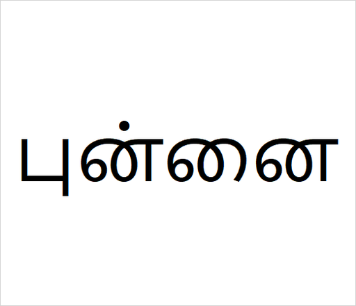 [புன்னை] Punnai