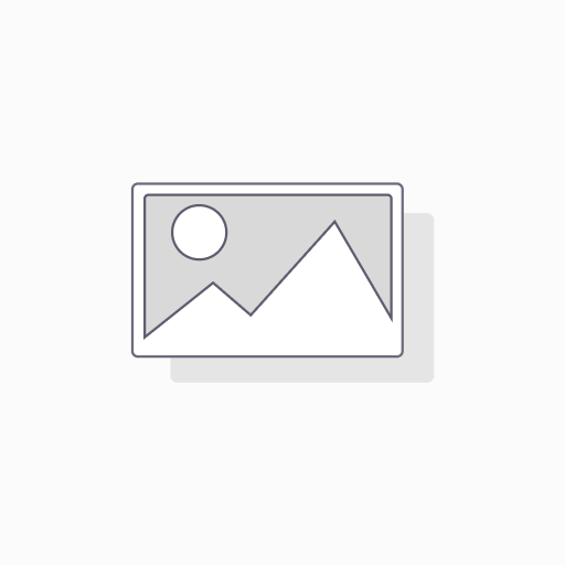 [70081171] Procreate App for iPad