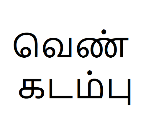 Ven kadambu Bulk